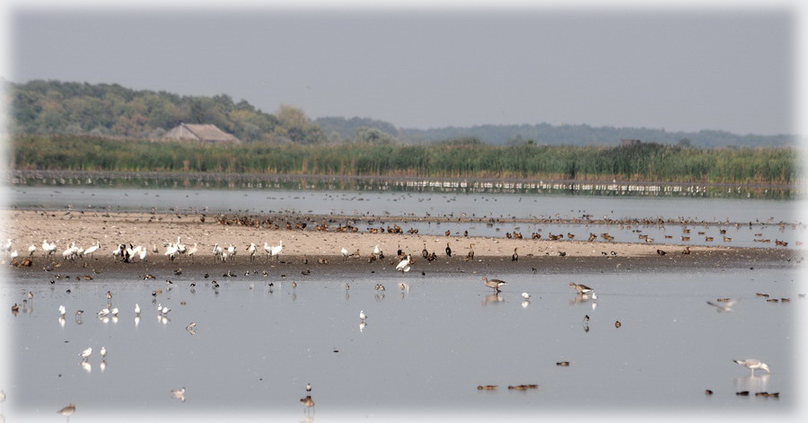 hangulat 900.jpg