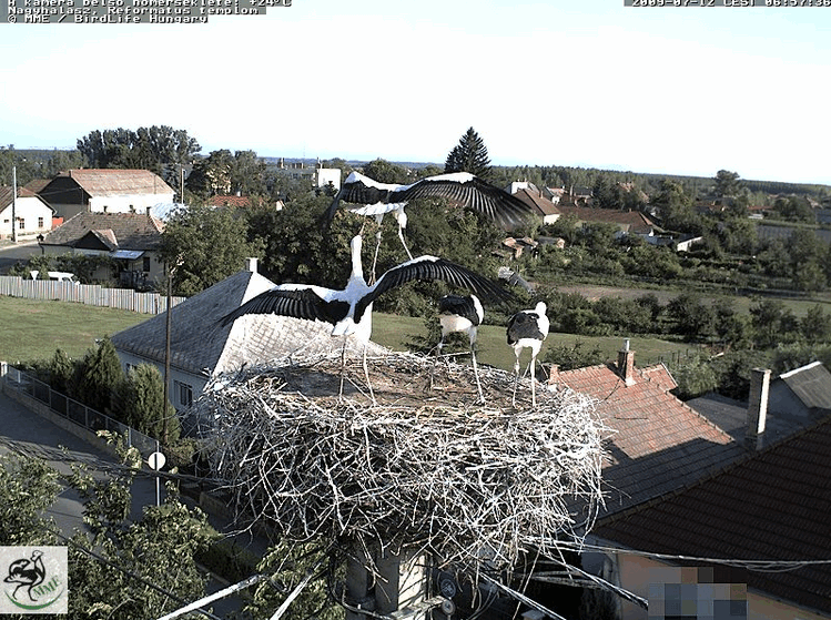 2009-07-12_065753.gif