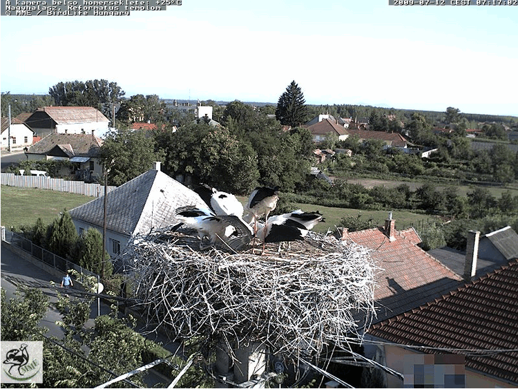 2009-07-12_071726.gif