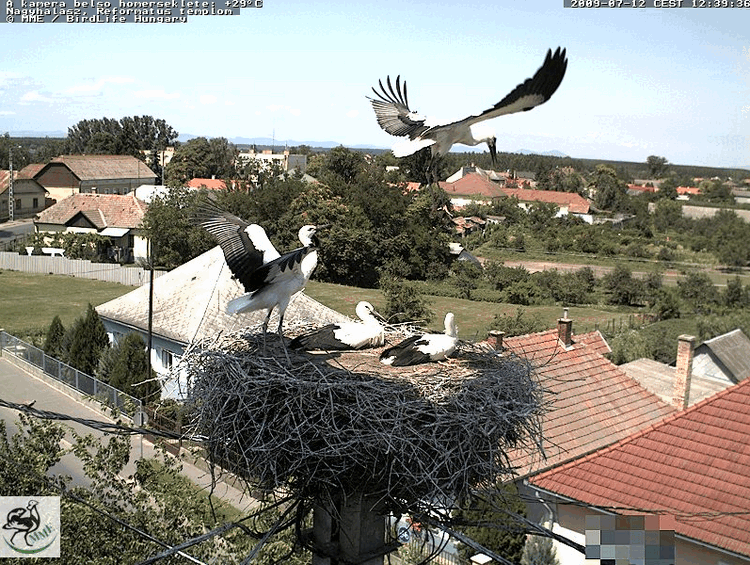 2009-07-12_124003.gif