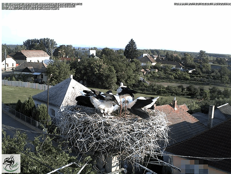2009-07-13_062319.gif