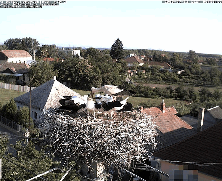 2009-07-13_065424.gif
