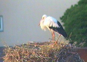 2009-07-14_065549.jpg