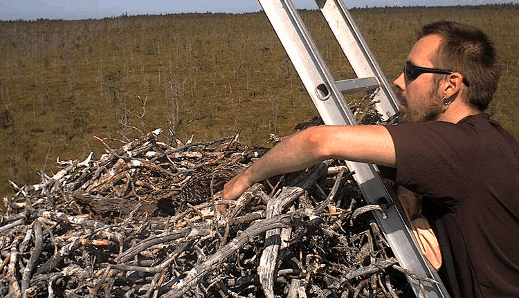 2009-07-14_104737.gif