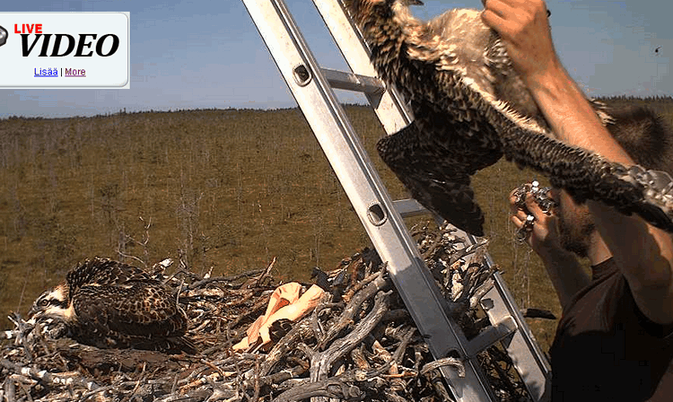 2009-07-14_110112.gif