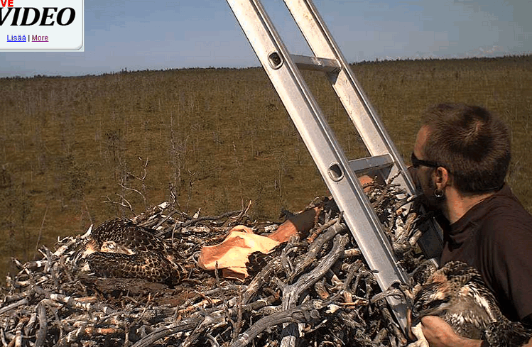 2009-07-14_110334.gif
