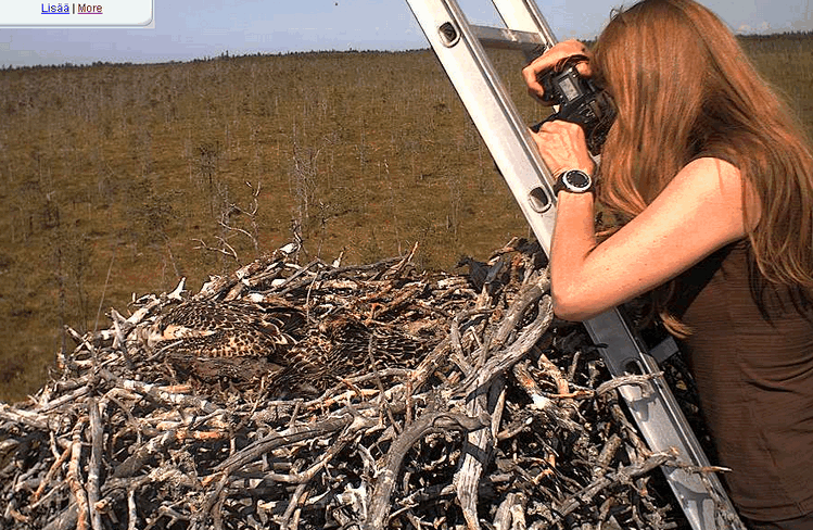 2009-07-14_111252.gif