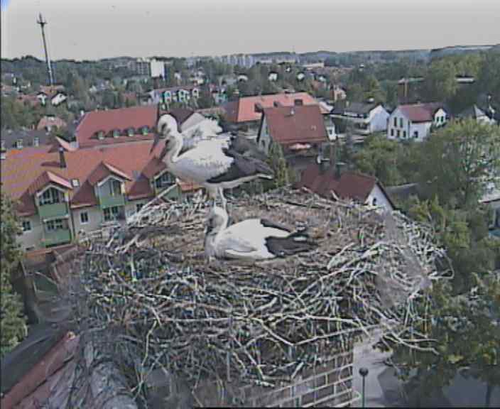 markt.jpg
