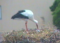 2009-07-18_151803.jpg